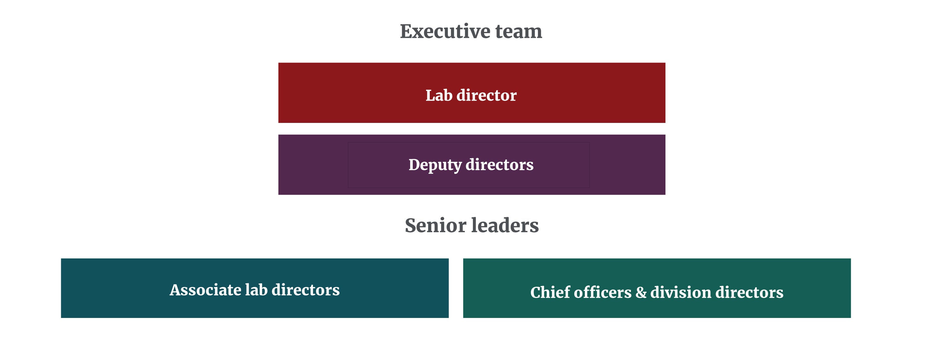 Simple graphic chart of SLAC organizational structure