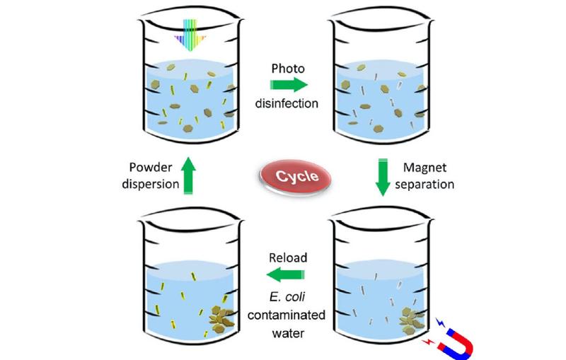 Four cups of water arranged in a cycle, illustrating a decontamination cycle.