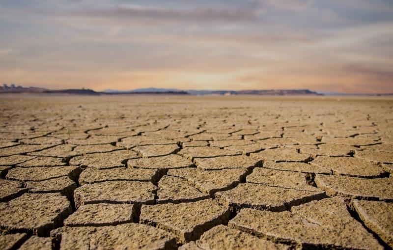 Cracked, dry earth landscape.