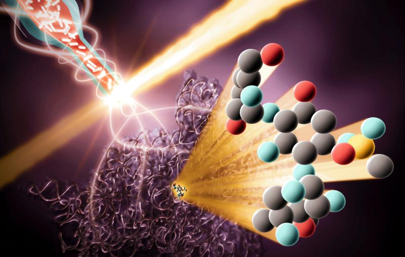 Drug Ribosome Interactions