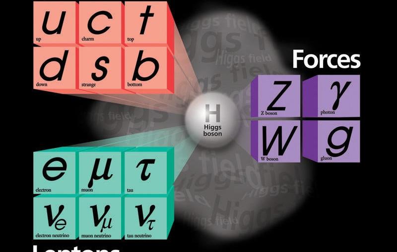 The fundamental particles of the Standard Model