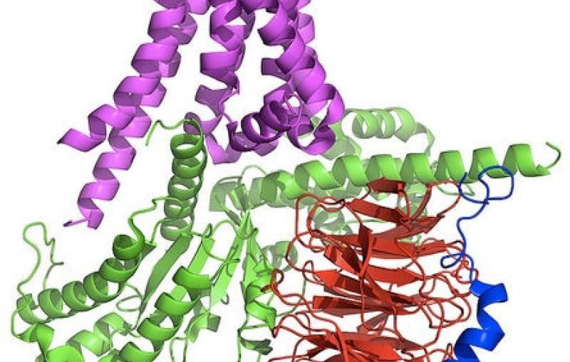 Image - Graphic illustration of tangled spiral protein signaling complex