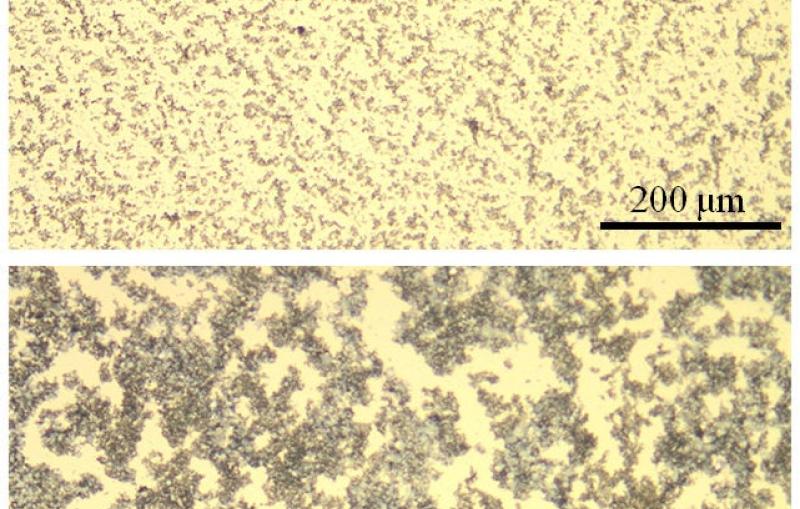 Image -  A new binder material forms a fine-grained (top) lithium sulfide/carbon composite cathode, compared with the large clumps (bottom) that form when another common binder is used.