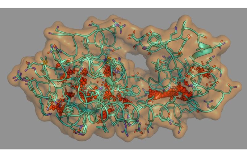 a protein ensemble