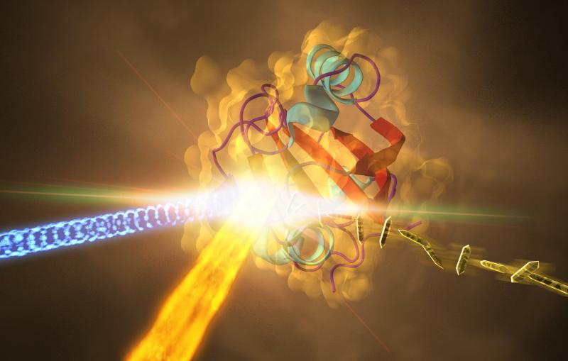 a protein from photosynthetic bacteria