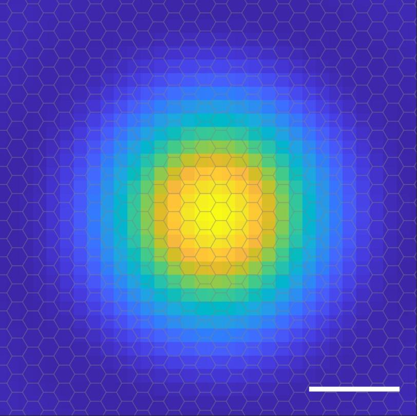 Illustration depicting the "probability cloud" of an electron in an exciton as a target pattern, with highest probability of finding the electron in the center (yellow) and four concentric rings of decreasing probability surrounding it.