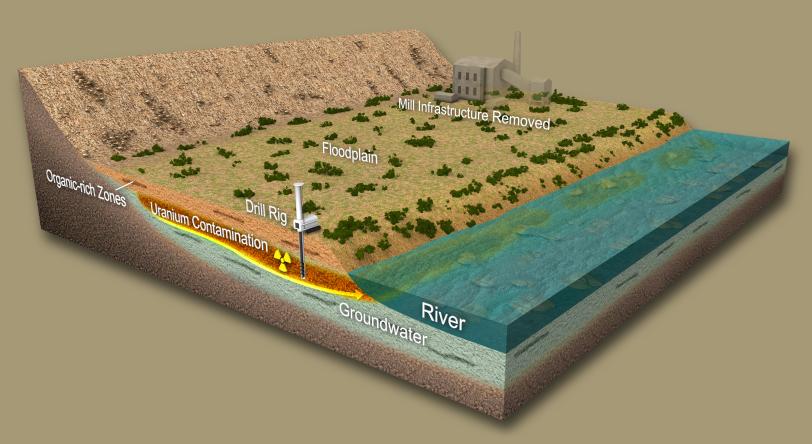  Using X-ray techniques to target long-lived groundwater contamination at former uranium ore processing sites.