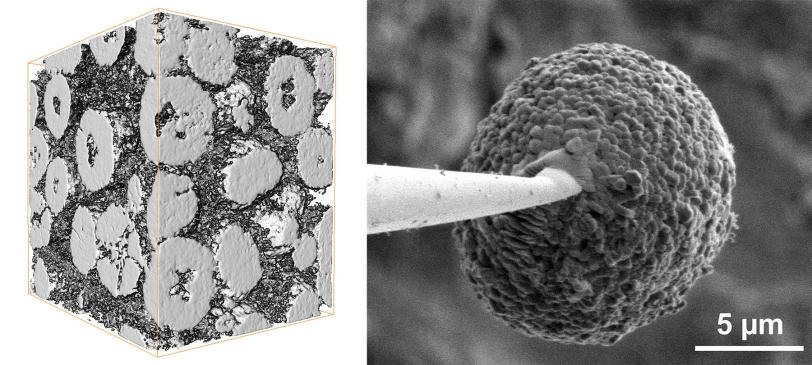 X-ray image of a microscopic battery particle mounted on needle tip