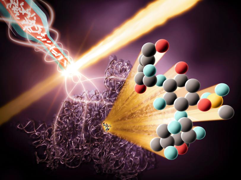 Drug Ribosome Interactions