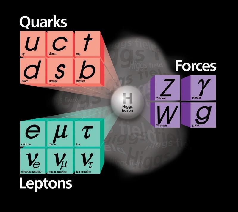 The fundamental particles of the Standard Model