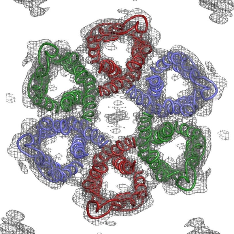 Image - Diagram of protein with six rings surrounding a central ring