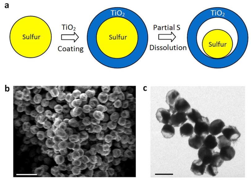 Image - Explanatory diagrams and magnified nanopartic...