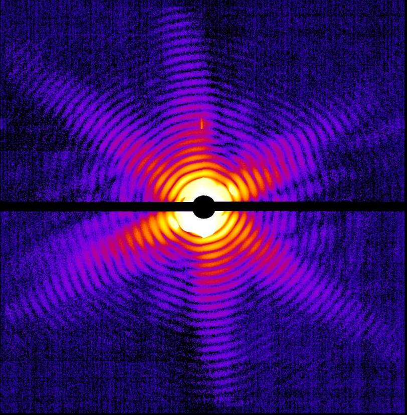 Mimivirus X-ray Diffraction Pattern