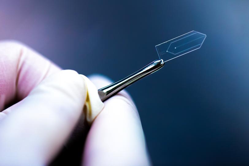 A glass chip used as a nozzle to create thin sheets of flowing liquid.