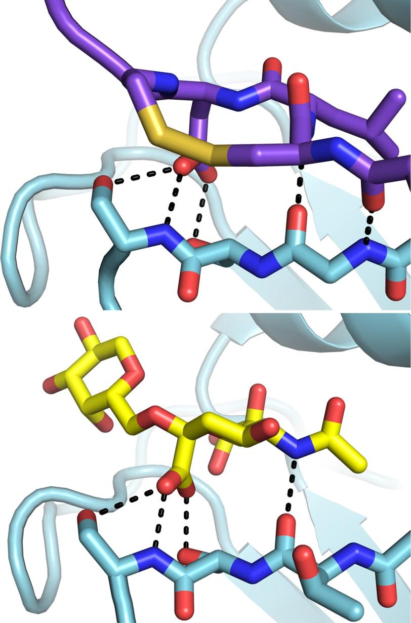 Graphic: flu antibody