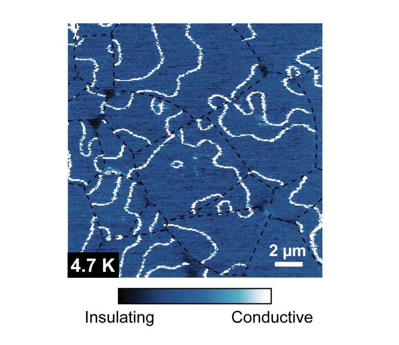 Image of a magnetic material taken with MIM.