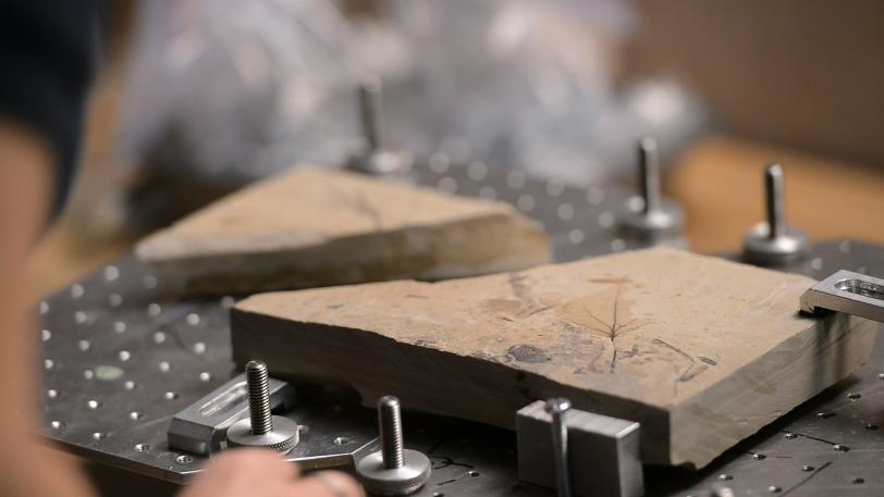 Image - Researchers prepare a fossil sample for X-ray scanning at SLAC's Stanford Synchrotron Radiation Lightsource. (Matt Beardsley/SLAC)