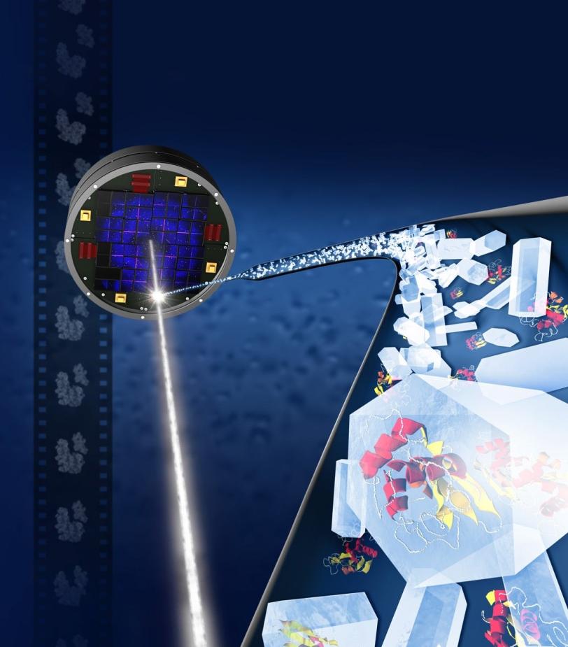 This illustration shows Tiny crystallized biomolecules in a liquid solution (right) are streamed into X-ray laser pulses (shown as a white beam) in this illustration of crystallography at SLAC's Linac Coherent Light Source X-ray laser.