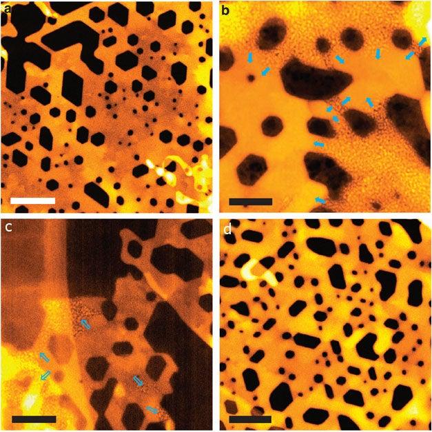 Swiss-cheese-like structure of an ultrathin nickel-oxide sheet