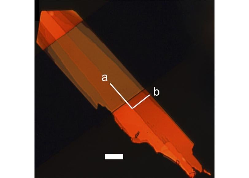 Single crystal of new organic semiconductor shown in polarized light (Image by Anatoliy Sokolov.)