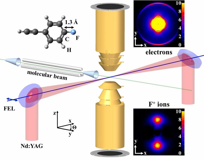 Image - This diagram shows the setup for an experiment at SLAC's Linac Coherent Light Source that positioned fluorocarbon molecules along a common axis with an optical laser and then used X-ray laser pulses to explore their structural details.