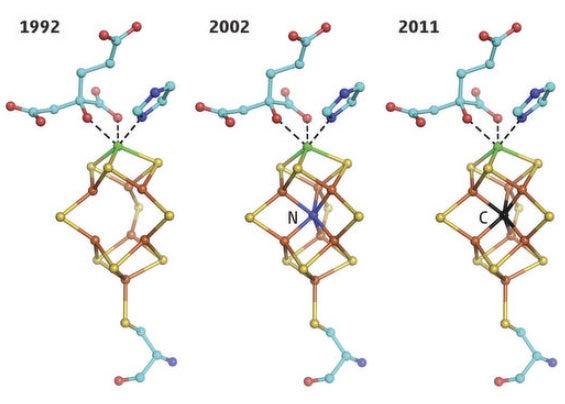 Nitrogenese Enzyme Model