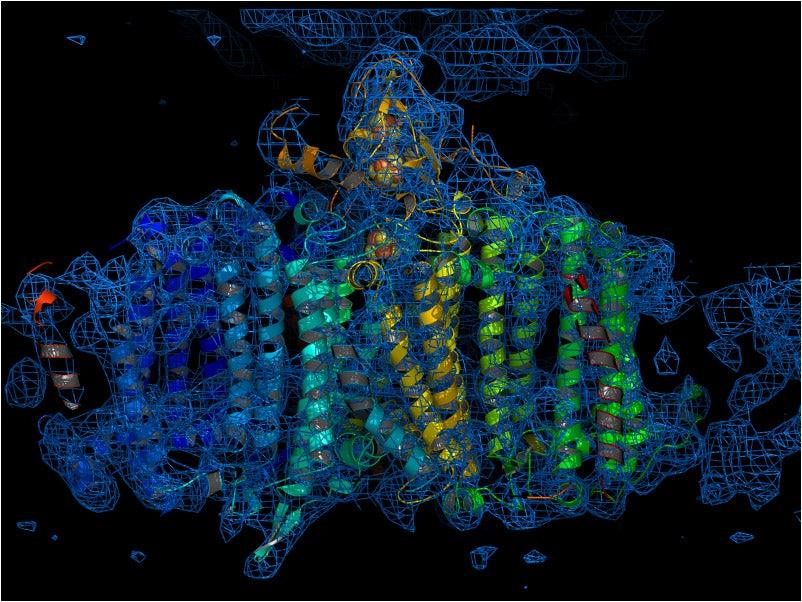 Structure of the Photosystem I Protein