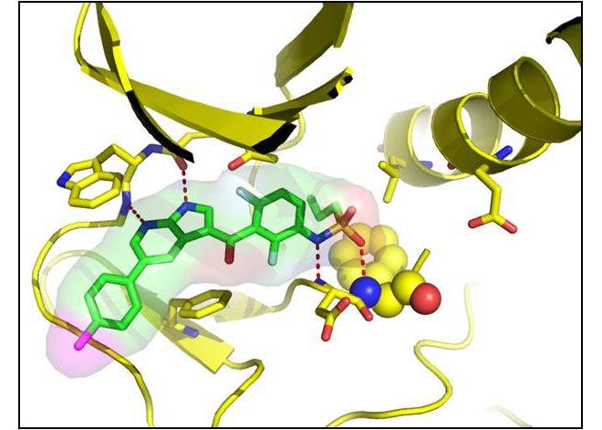 Representation of drug developed in part at SLAC at work against melanoma (Image courtesy Plexxikon Inc.)