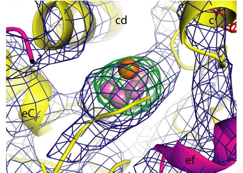 Photosystem II Molecular Cluster