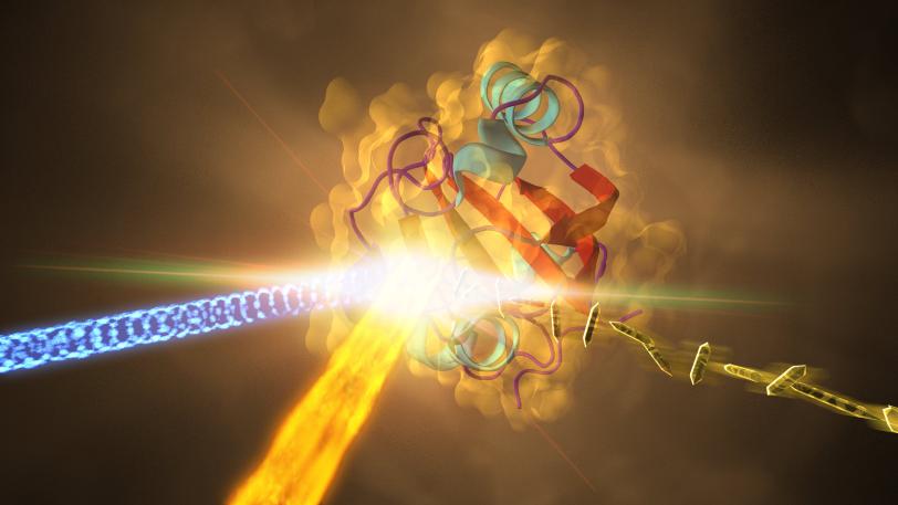 a protein from photosynthetic bacteria