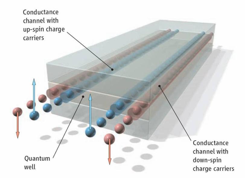 Electrons spinning through topological insulator mercury telluride