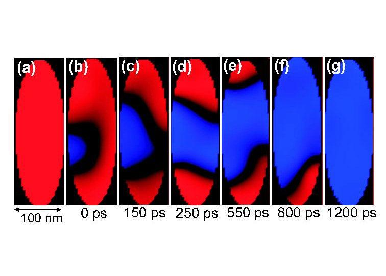 Simulated Change in Magnetic Polarization over Time