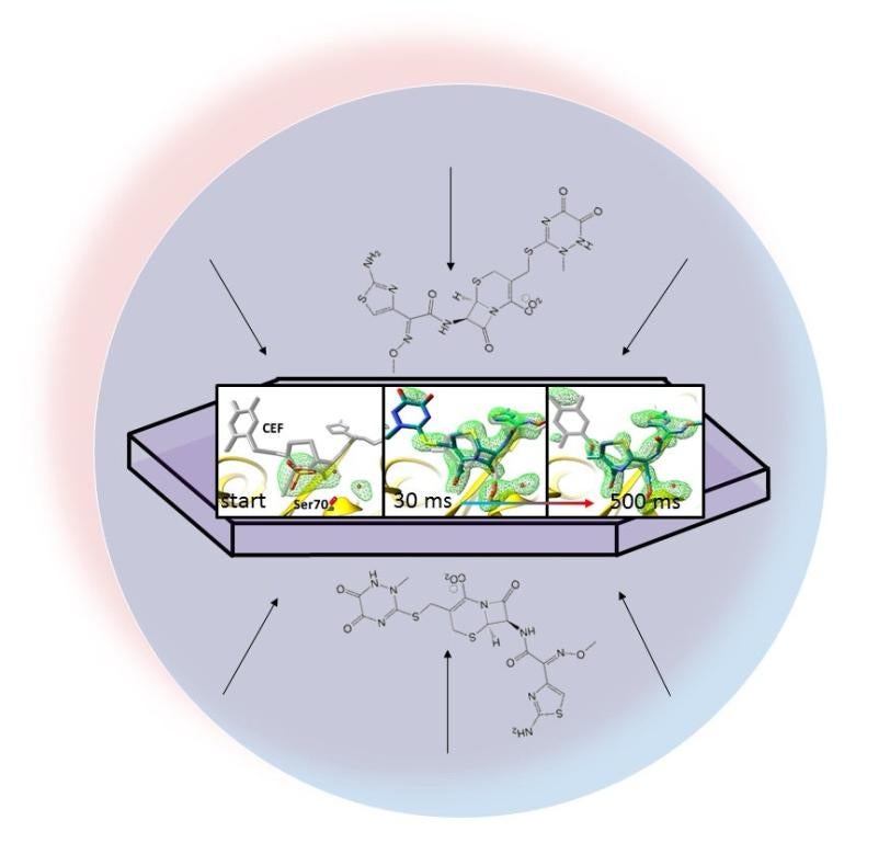 Sketch: antibiotic binds to protein