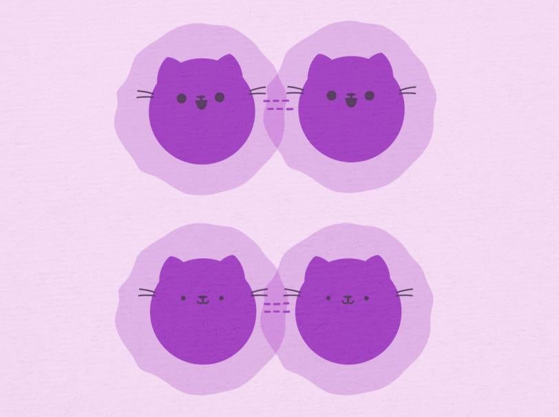 Illustration of a molecule splitting into two Schroedinger's Cat states 