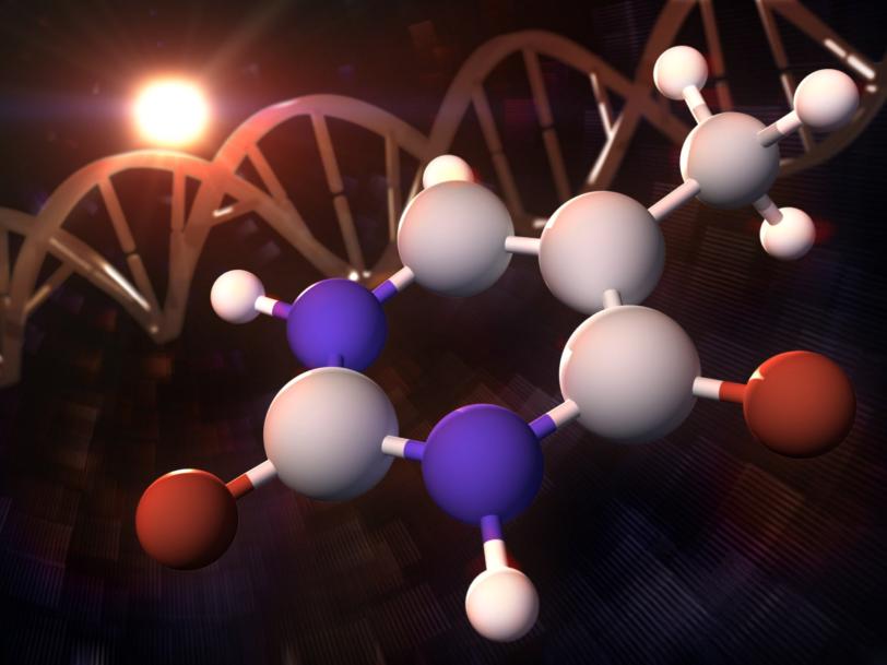 Illustration showing a thymine molecule, DNA helix and the sun.