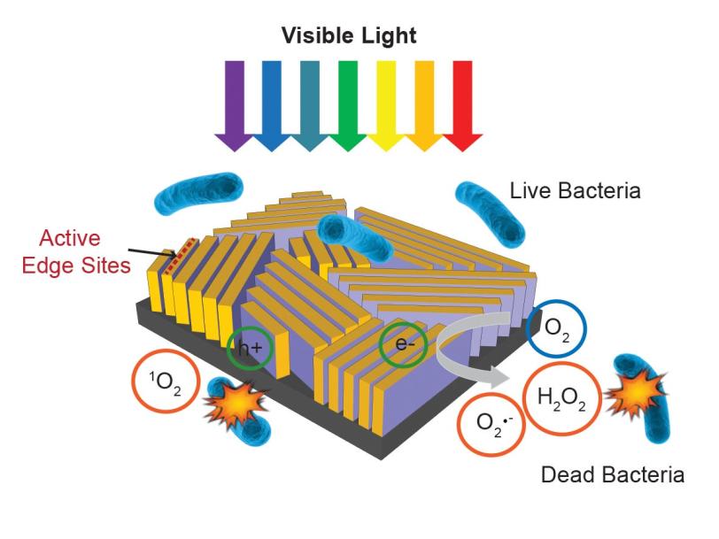 Diagram of a nanostructured device used to disinfect water.