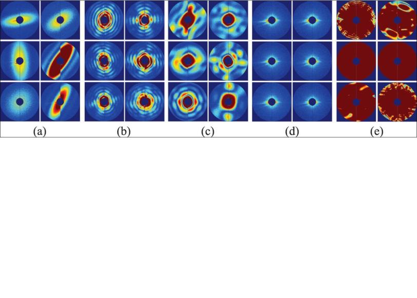 Randomly -selected representative snapshots showing new algorithm's data-sorting capabilities (Image courtesy Image courtesy Chun Hong Yoon, et al.) 