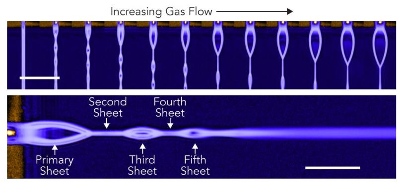 Figure showing formation of sheets from the top and side 