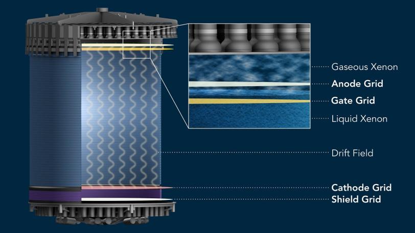 Four high-voltage grids inside LZ’s tank of liquid xenon