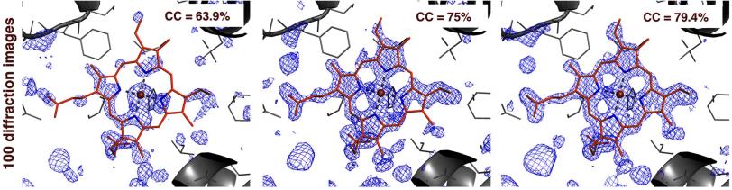 Image - These three computerized renderings, based on an analysis of data from an experiment at LCLS, show how a software tool called Prime can aid in determining the 3-D structure of biomolecules. The image at right shows Prime-refined data.