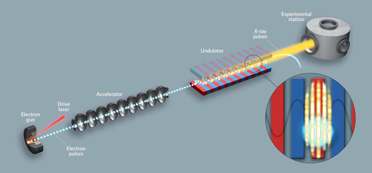 Diagram of the next-generation XFEL at SLAC.