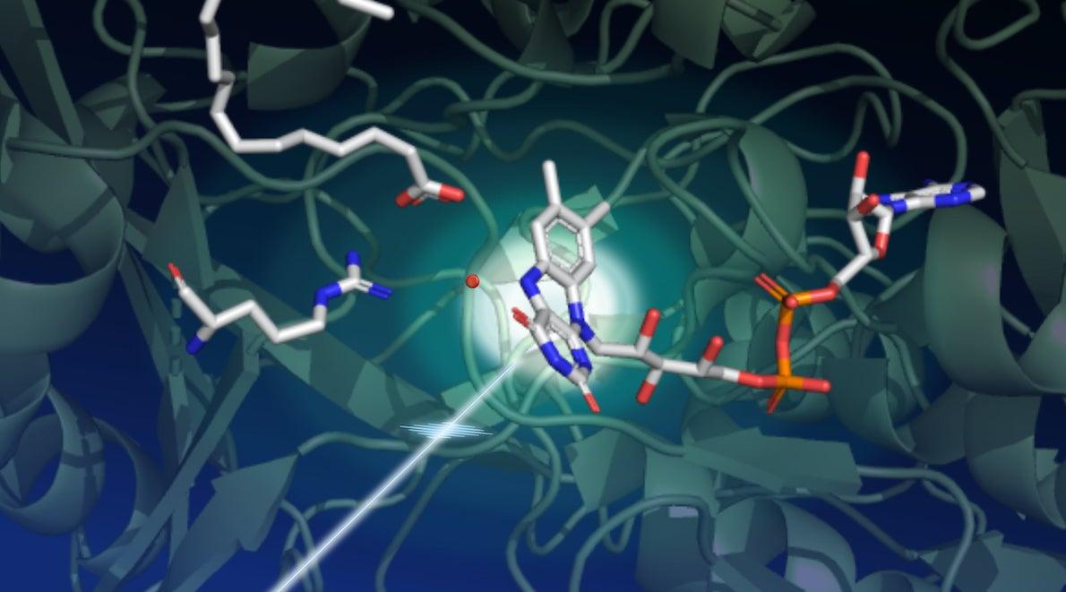 Illustration of the molecular structure of an enzyme called FAP that gets the energy it needs to promote chemical reactions from sunlight 