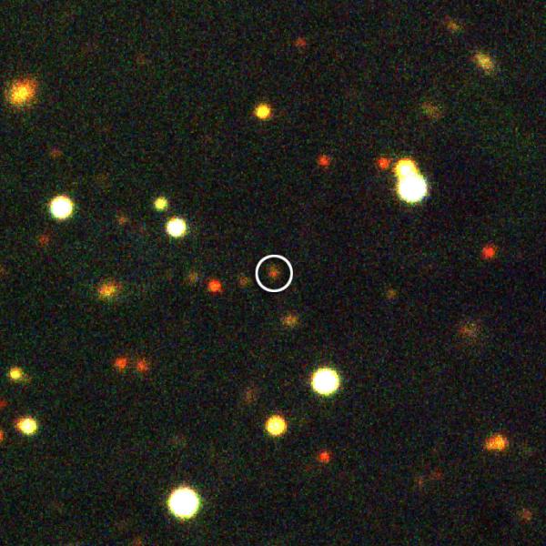 Gamma-Ray Burst Optical/Near-Infrared Detector (GROND)