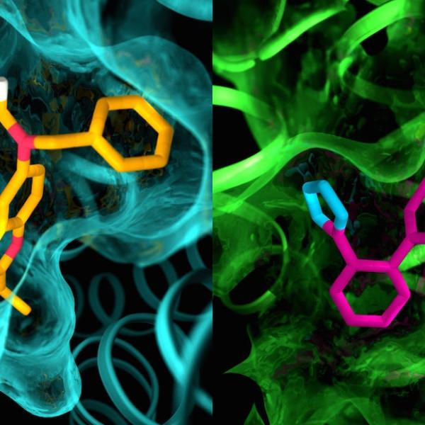 Illustration shows details in the pocket structures of AT2 (left) and AT1 (right).