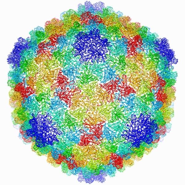 Molecule created using Cryogenic Electron Microscopy.