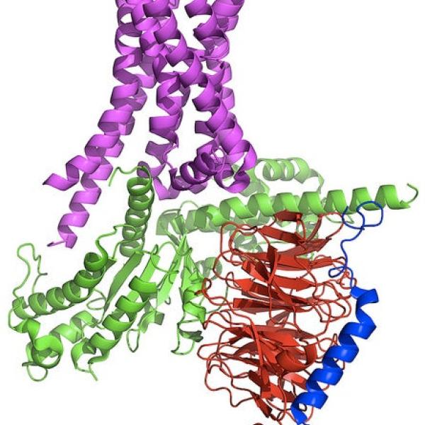 Image - Graphic illustration of tangled spiral protein signaling complex