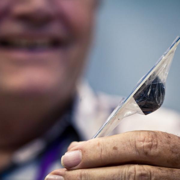 Sample of a meteorite