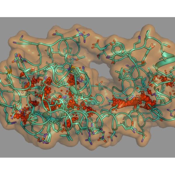 a protein ensemble