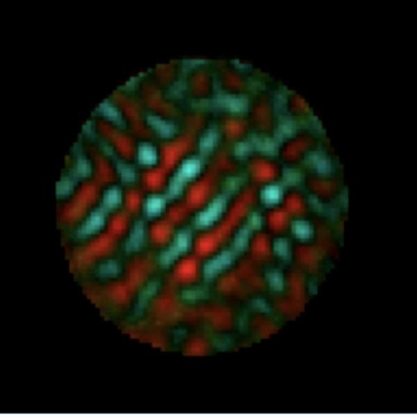 Magnetic domains revealed in cobalt alloy by new technique (Image courtesy Joshua Turner.)